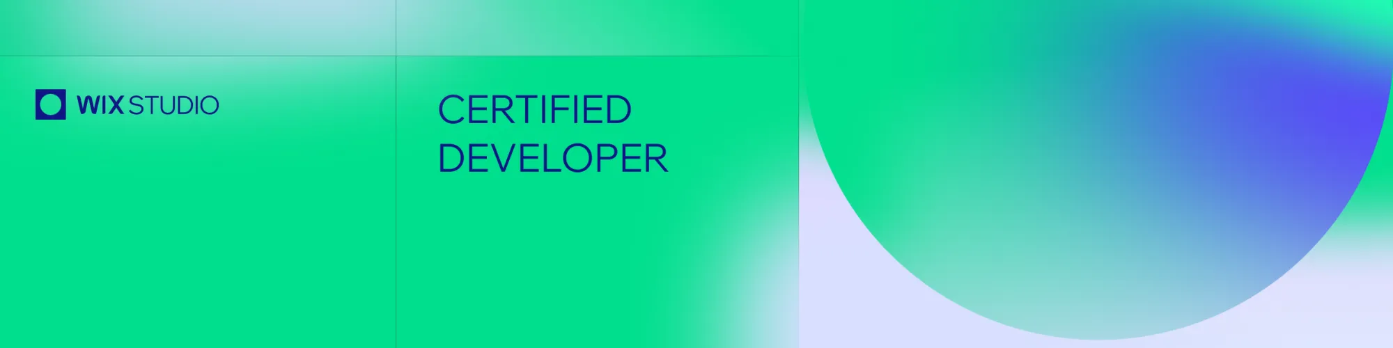 Wix Studio Expert Developer certification for Cirrus Design Studio