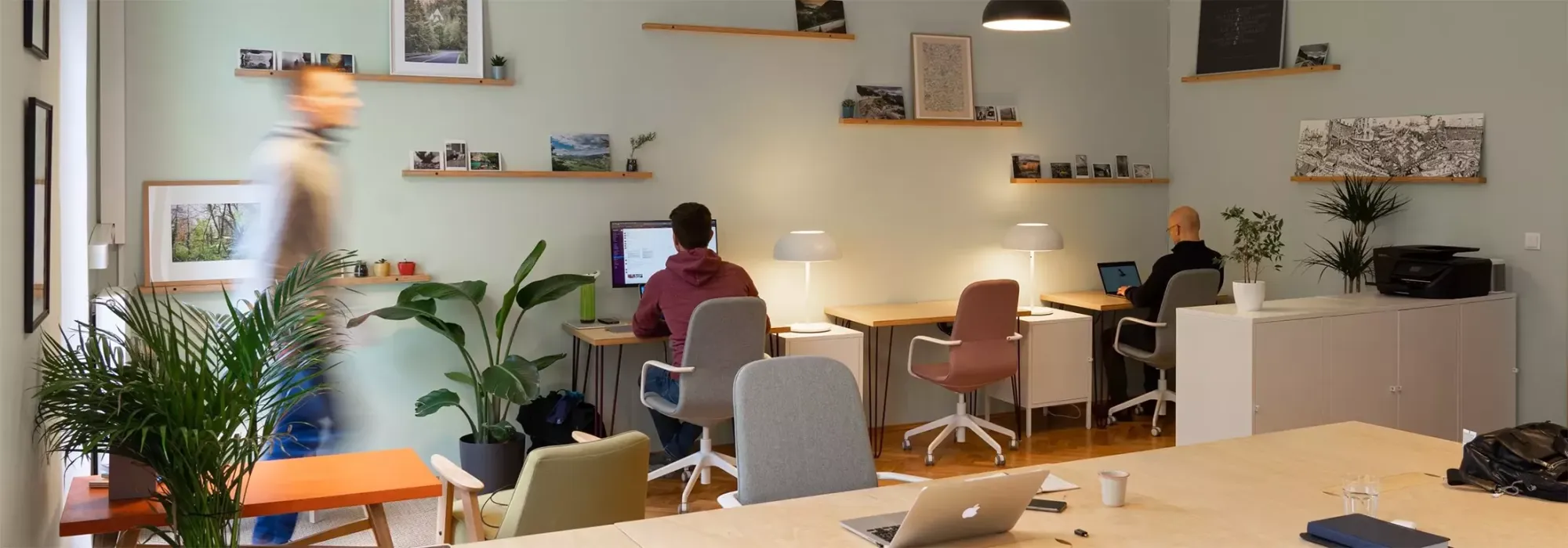 A bright, plant-filled studio office with people working at their desks